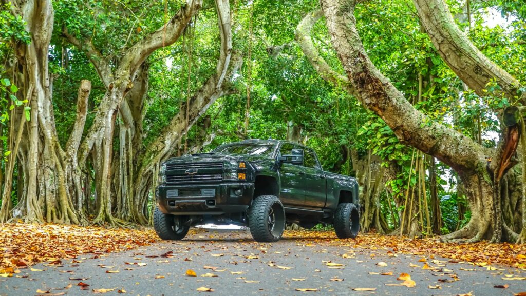 dually wheels and tires